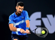 开云平台-西班牙网球队翻盘德国网球队，德约科维奇高光表现的简单介绍