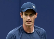 开云官方app入口-包含德国网球队逆转英国网球队，穆雷高光表现的词条