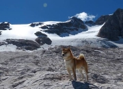 开云体育官方网站-秘鲁粉碎摩纳哥，门迪如何成为改变战局的关键先生