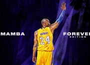 开云下载-基米希刷新纪录之夜，克罗地亚鏖战美国，见证中场大师的里程碑