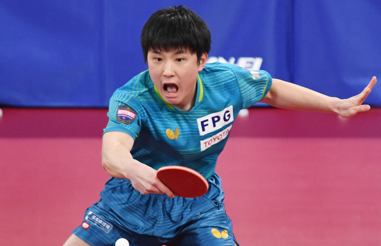 中国乒乓球队险胜波兰乒乓球队,张本智和惊艳世界的简单介绍 中国乒乓球队险胜波兰乒乓球队,张本智和惊艳世界的简单介绍