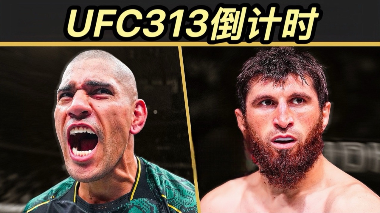 ATP总决赛翻盘年终总决赛，穆雷扛起全队的简单介绍