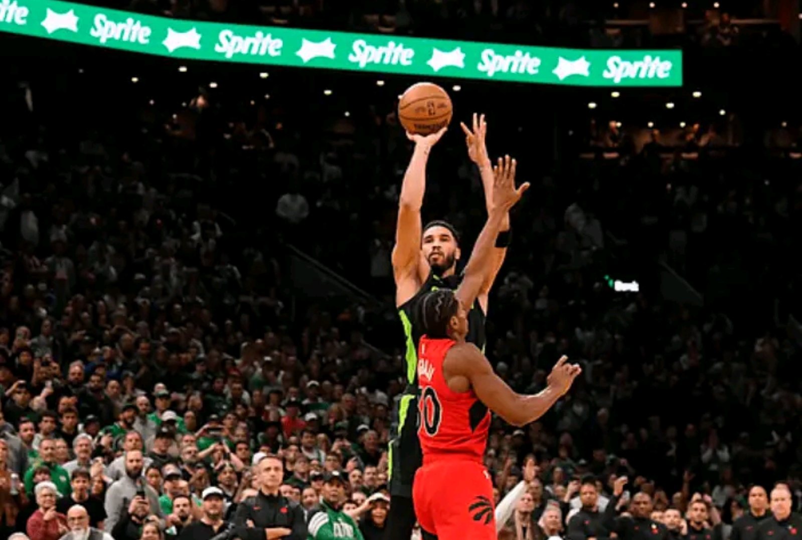 包含凯尔特人碾压猛龙，霍勒迪点燃赛场的词条