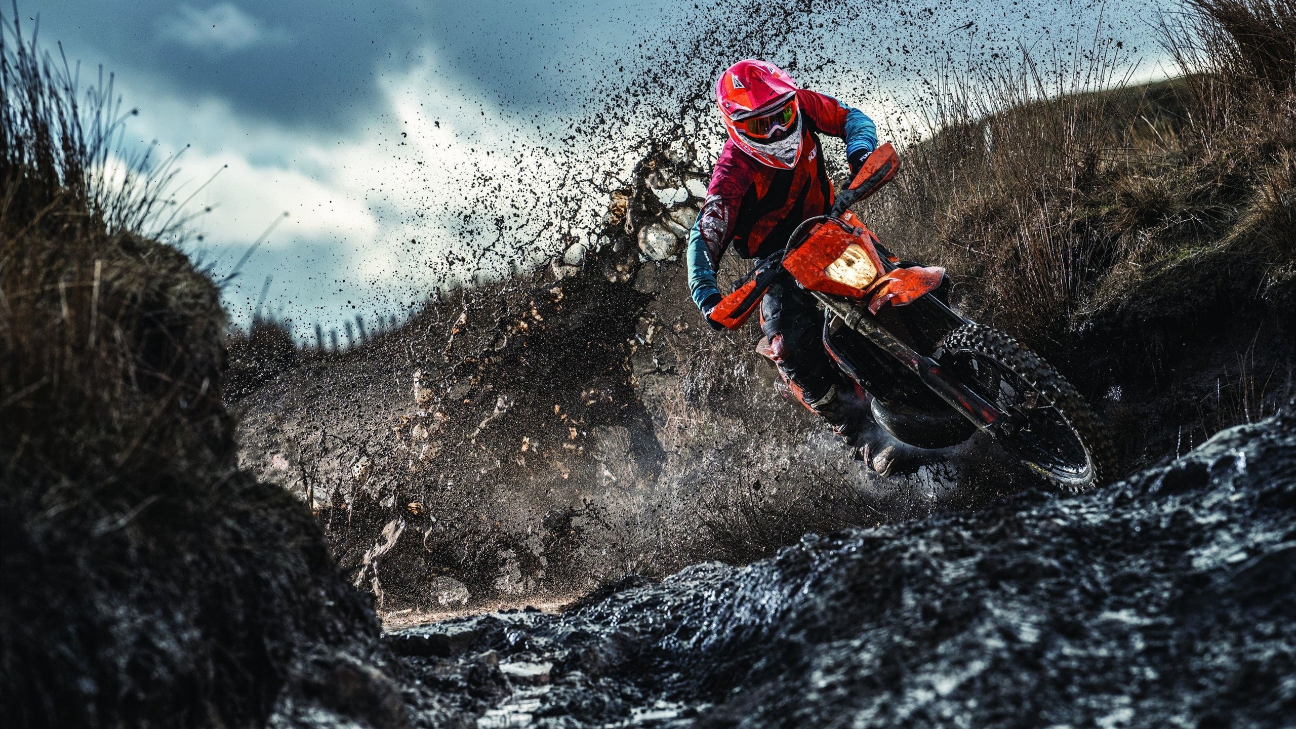 欧文末节19分上演死神时刻，森林狼力克掘金夺天王山